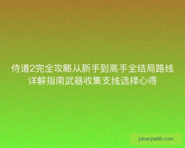 侍道2完全攻略从新手到高手全结局路线详解指南武器收集支线选择心得