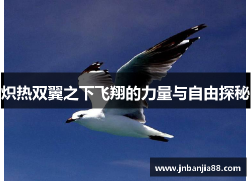 炽热双翼之下飞翔的力量与自由探秘