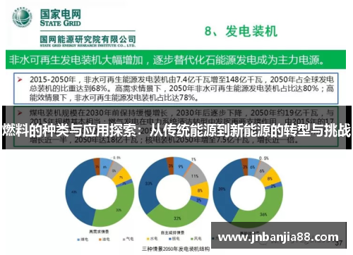 燃料的种类与应用探索：从传统能源到新能源的转型与挑战